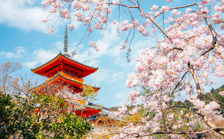 Kyoto: The Heart of Traditional and Cultural Japan