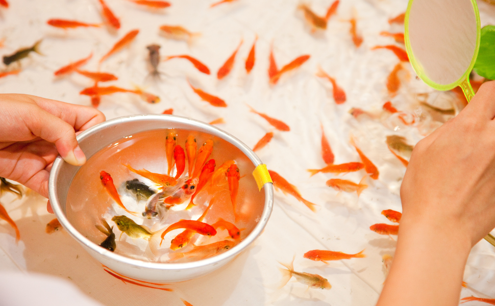 Experience Summer in Japan: Traditional Festival Activities Guide