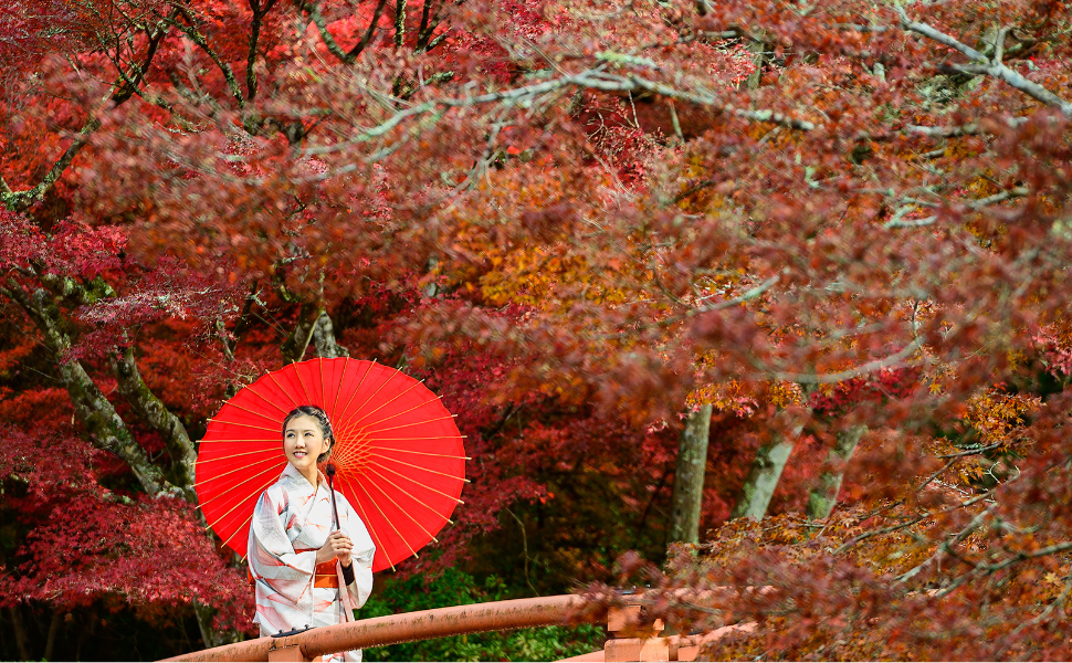 10 Things That Are Taboo in Japan: What Americans Should Know Before Visiting