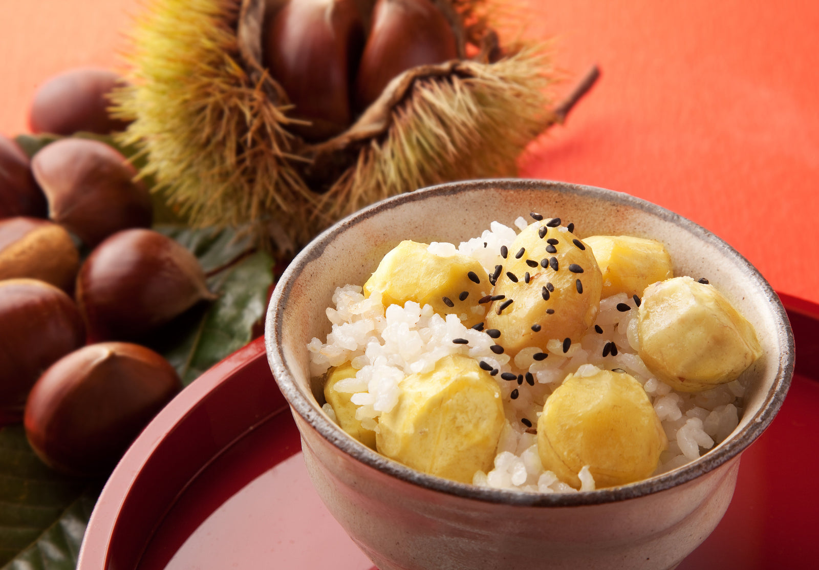 September Seasonal Ingredient in Japan: Chestnuts (Kuri) Recipes You’ll Love