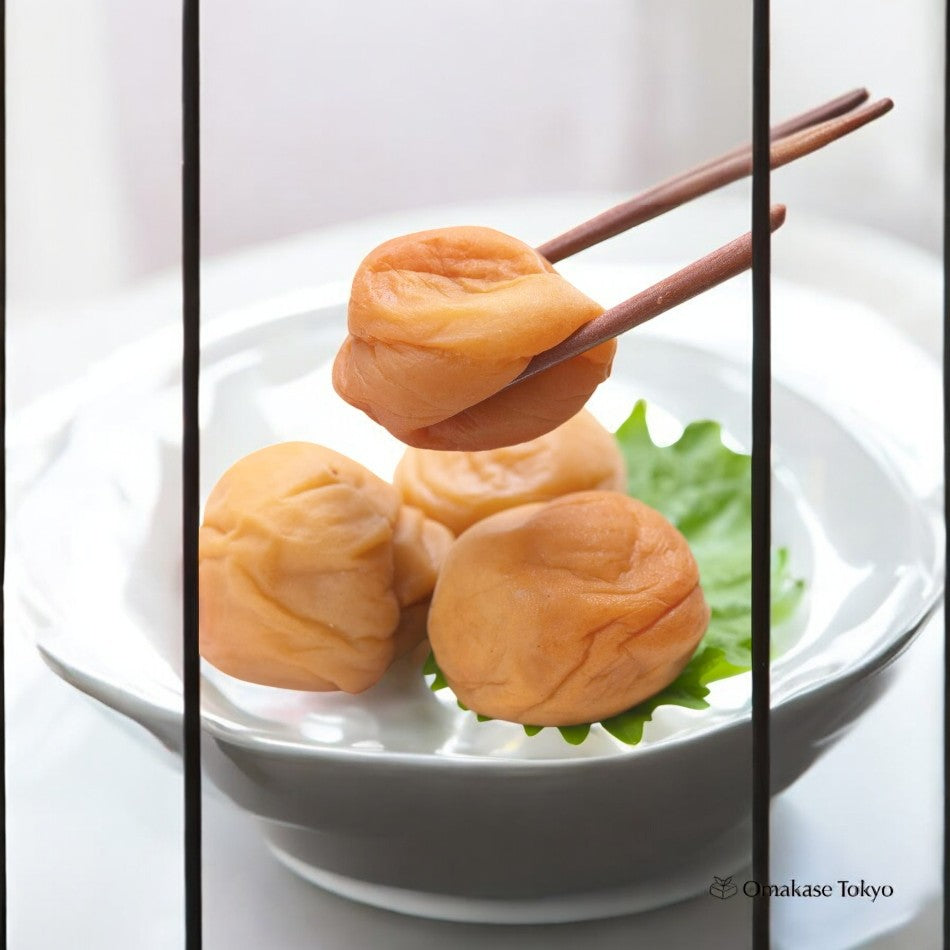 TennenSeikatsu Kishu Nanko Ume Japanese Pickled