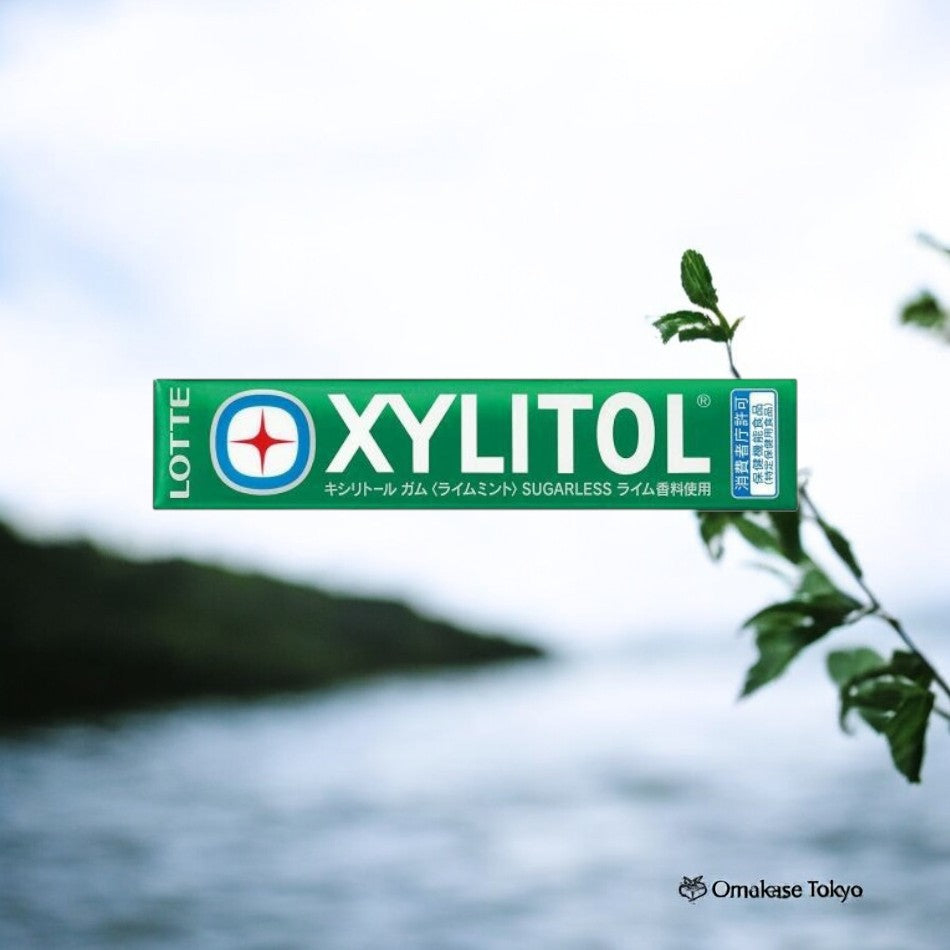 Lotte Xylitol Gum Lime Mint 21g (14 tablets)