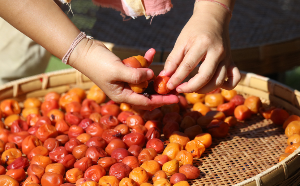 How to Make Traditional Organic Umeboshi at Home