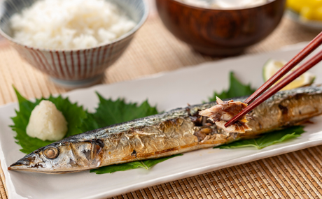 Taste of Japanese Fall: The Charm of Sanma no Shioyaki (Grilled Pacific Saury)