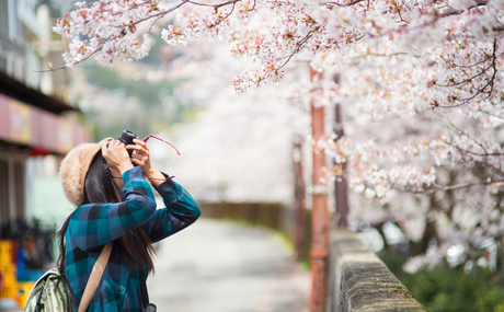 5 Things You MUST Know Before Visiting Japan This Spring (2026)