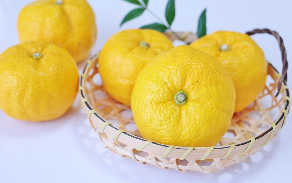 The Unique Appeal of Yuzu: Japan’s Citrus Gem