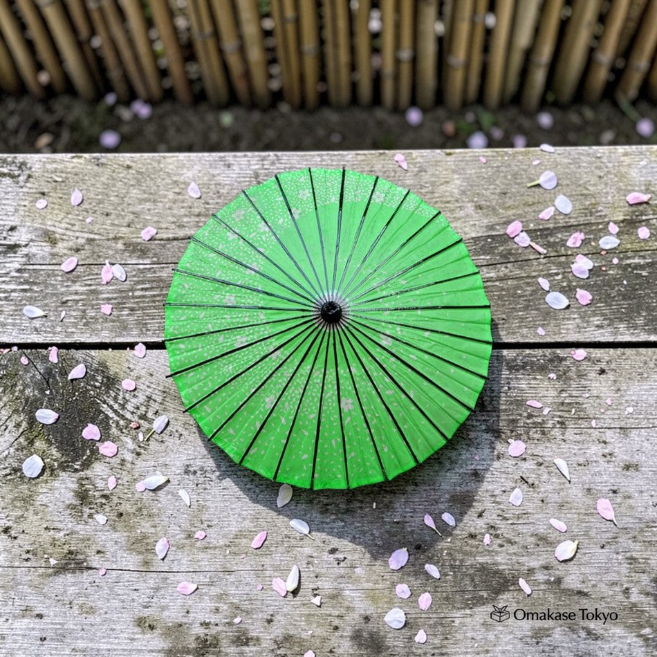 Japanese Paper Umbrella (Wagasa)