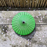 Japanese Paper Umbrella (Wagasa)