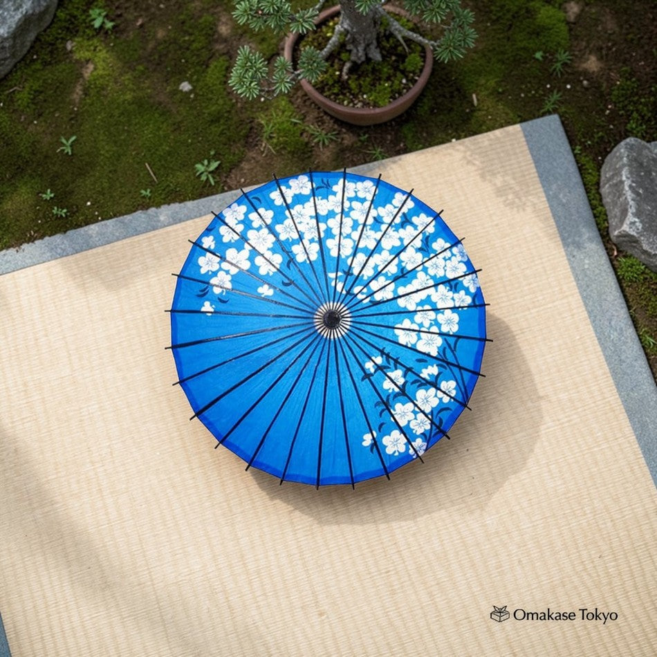 Japanese Paper Umbrella (Wagasa)
