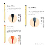 Akashiya Brush Pen  Shinmouhitsu 3Color Set