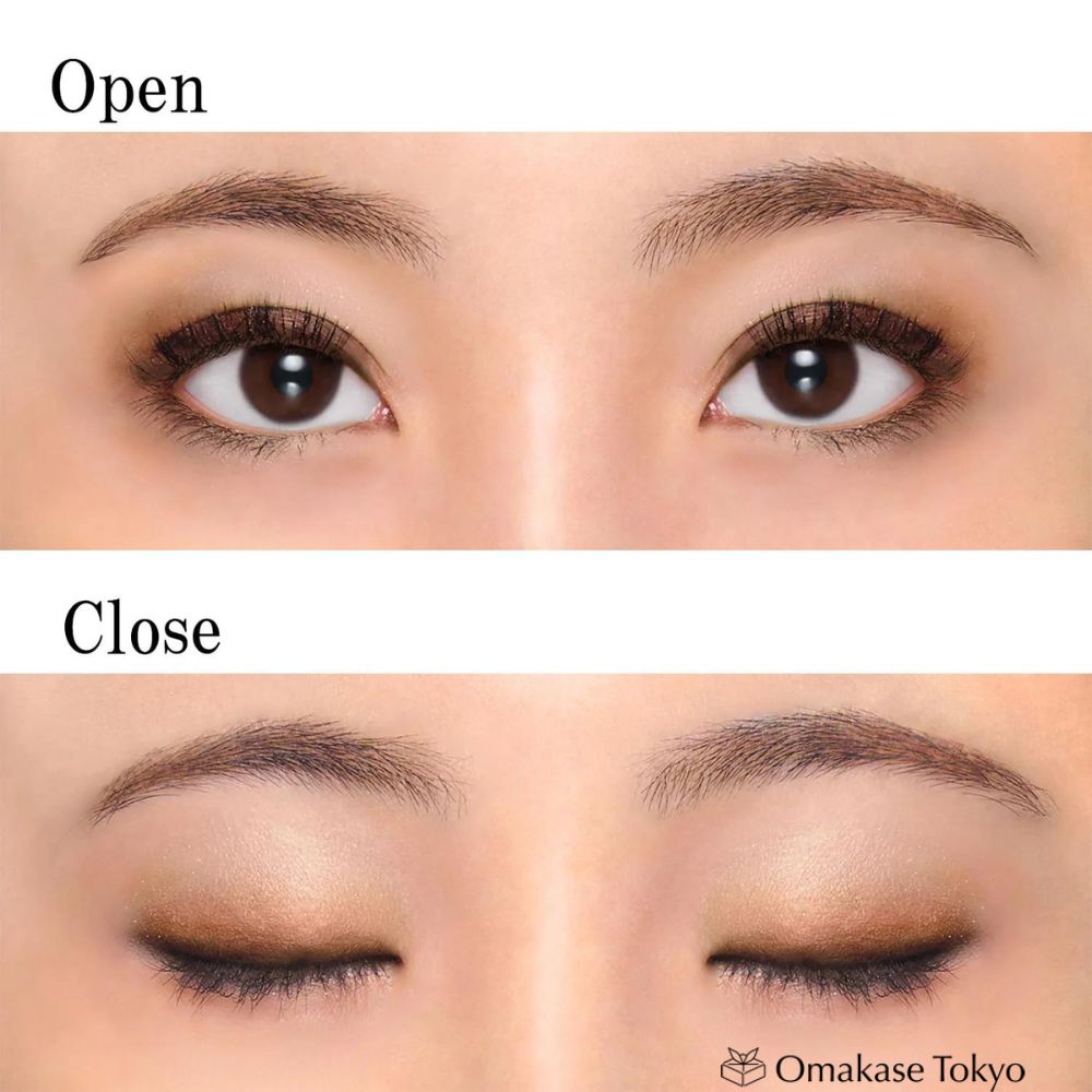 Chifure Gradient Eyeshadow Brown 73 | Unscented Single Piece