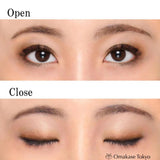 Chifure Gradient Eyeshadow Brown 73 | Unscented Single Piece