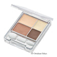 Chifure Gradient Eyeshadow Brown 73 | Unscented Single Piece