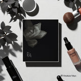 Pola B.A Oasis Light Powder Case