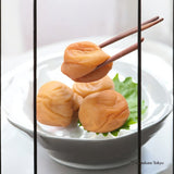 TennenSeikatsu Kishu Nanko Ume Japanese Pickled