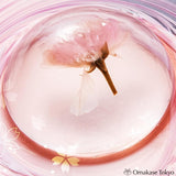 Sakura Japanese Somikaan Ankodo's Water Spirit Warabi Mochi 6 pieces