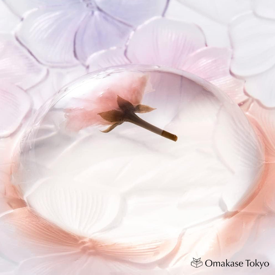 Sakura Japanese Somikaan Ankodo's Water Spirit Warabi Mochi 6 pieces
